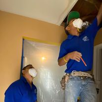 Westland Mold Inspection LLC business image in Westland, MI